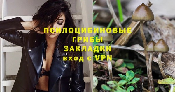 амф Балахна