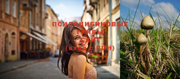 амф Балахна