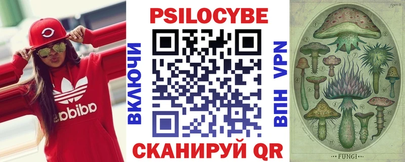 гидра зеркало Никольское Псилоцибиновые грибы Psilocybe